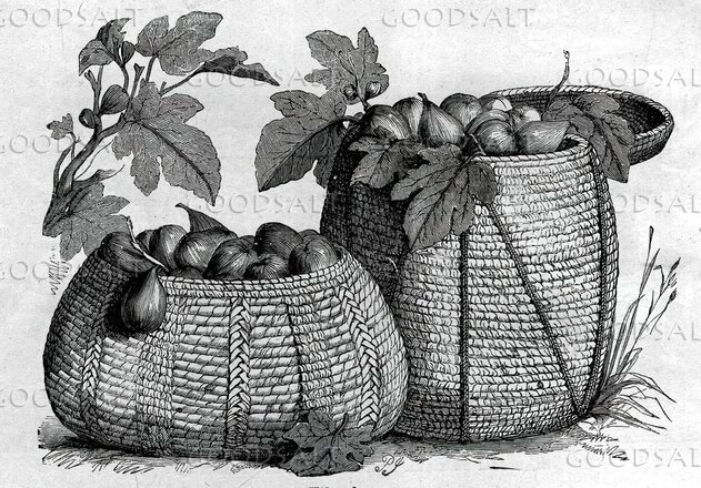Baskets of Firstfruits