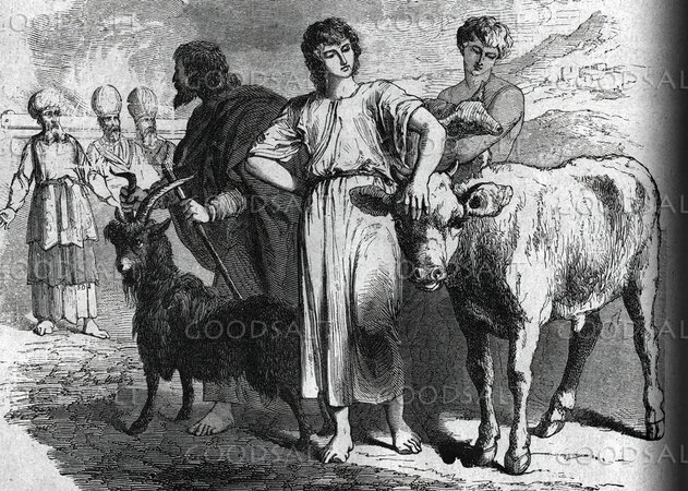 Israelites Bring Sacrificial Offerings