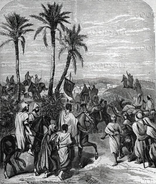 Ancient Procession Through the Palms