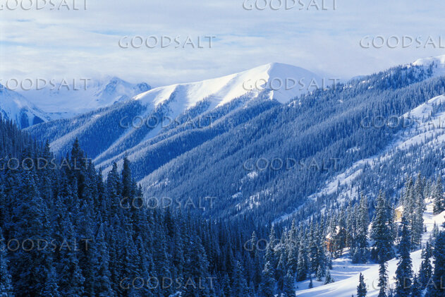 Snow Covered Sloaping Hills With Trees