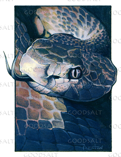 The Ancient Serpent