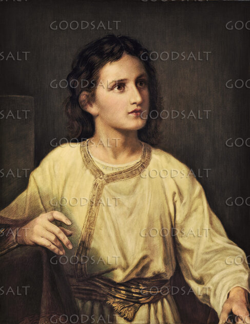The Boy Jesus