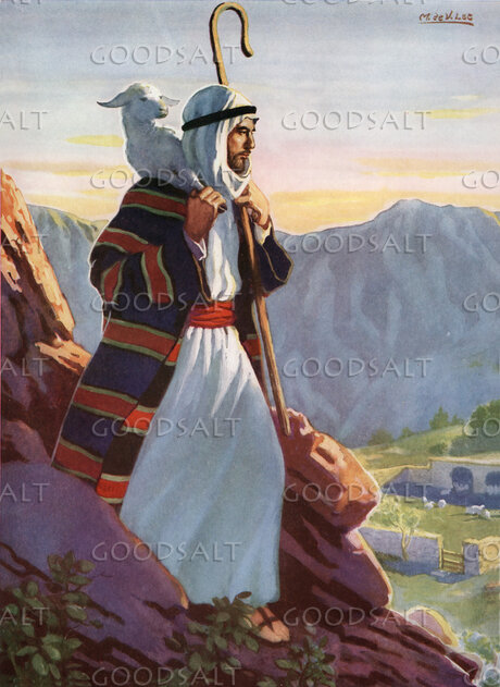 The Lamb That Was Lost