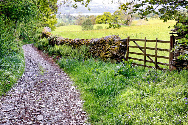 The Path and the Gate