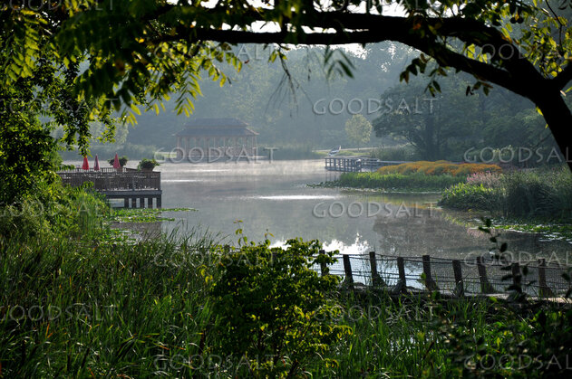 The Pond