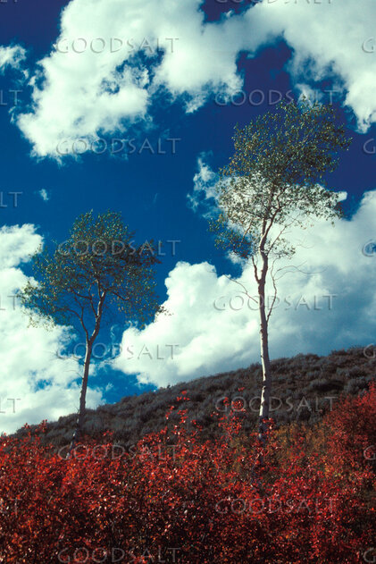 Heavens Over the Autumn Hillside
