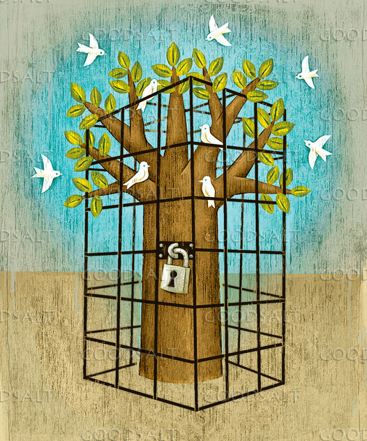 Tree in Cage With Doves