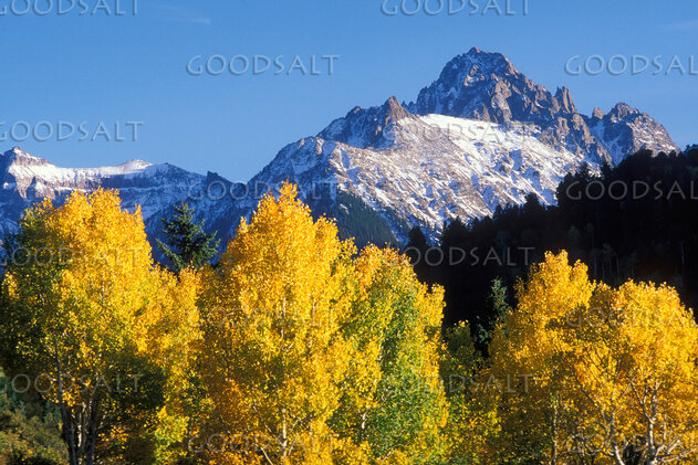 Trees With Changing Leaves and Mountains