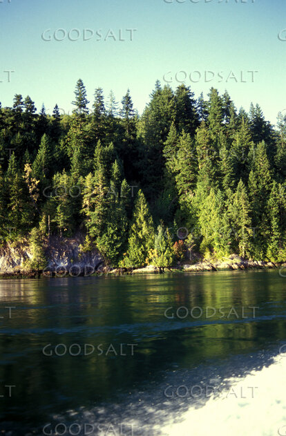 Still Waters in the Evergreen Wilderness