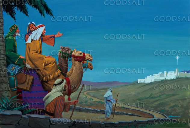 Wise Men Follow the Star