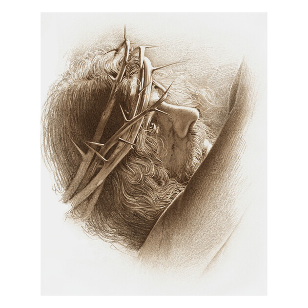 Head  View of Jesus Wearing Crown of Thorns - 16" x 20" - Gallery Wrap - Product view