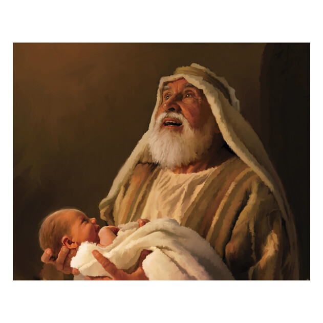 Simeon's Joy - 20" x 16" - Gallery Wrap - Product view
