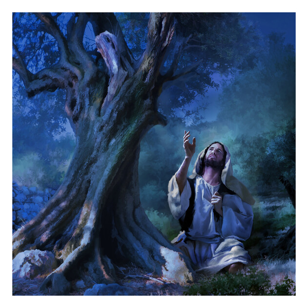 In the Garden - 16" x 16" - Gallery Wrap - Product view