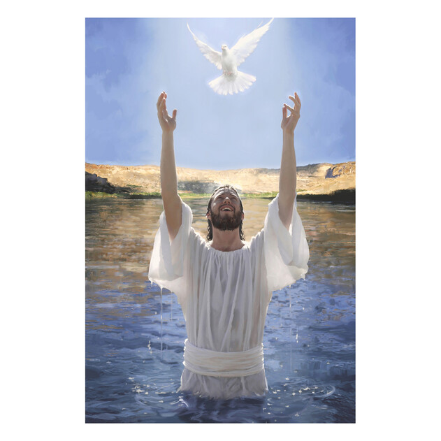 Spirit of God Decends over Jesus - 20" x 30" - Gallery Wrap - Product view