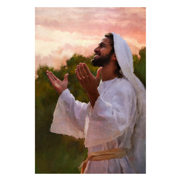 Morning Prayer - 20" x 30" - Gallery Wrap - Product view