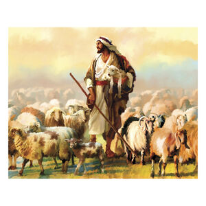 The Good Shepherd
