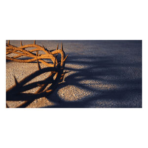 Crown of thorns with shadow