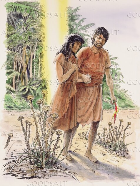 Adam and Eve After the Fall