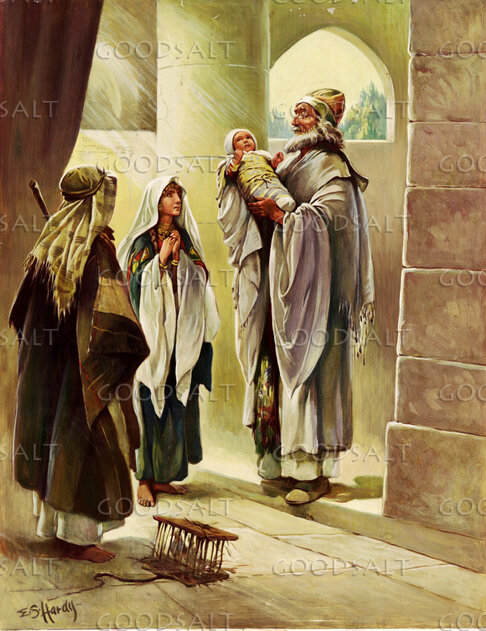 Baby Jesus in the Temple
