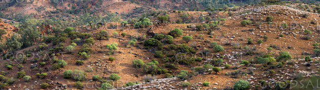 Colorful hills of varied scrub, flora and rocks in outback landscape.