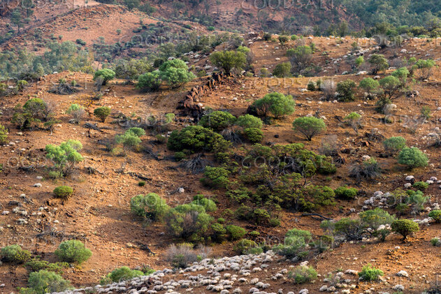 Colorful hills of varied scrub, flora and rocks in outback landscape.