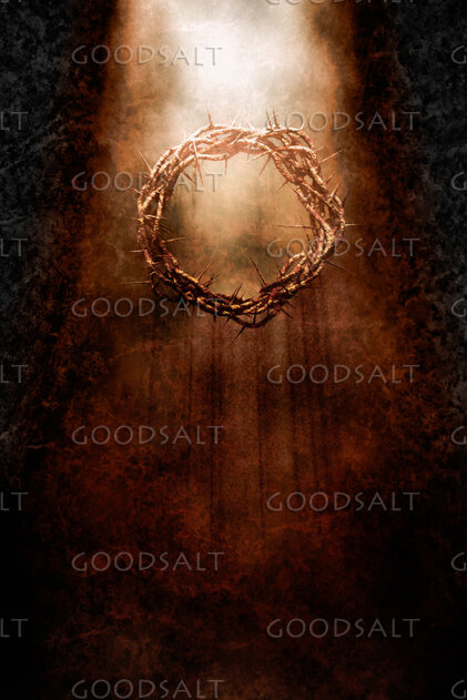 Crown of Thorns - Brown