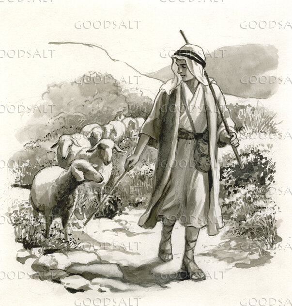 David the Shepherd