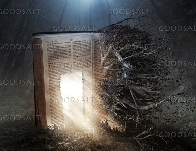Decaying Bible With Open Door