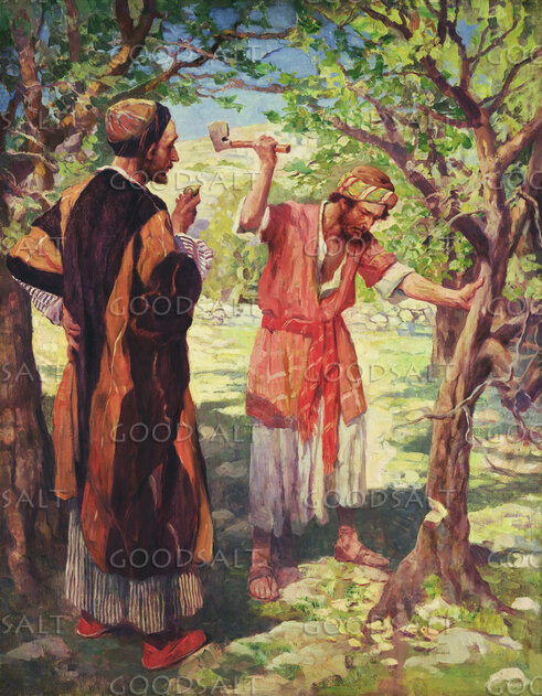 Fig Tree, Timely Warnings