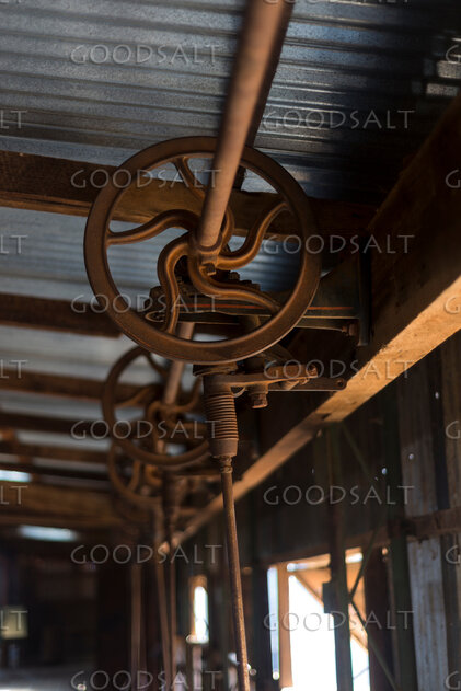 Interior of heritage shearing shed detailing tools and machinery