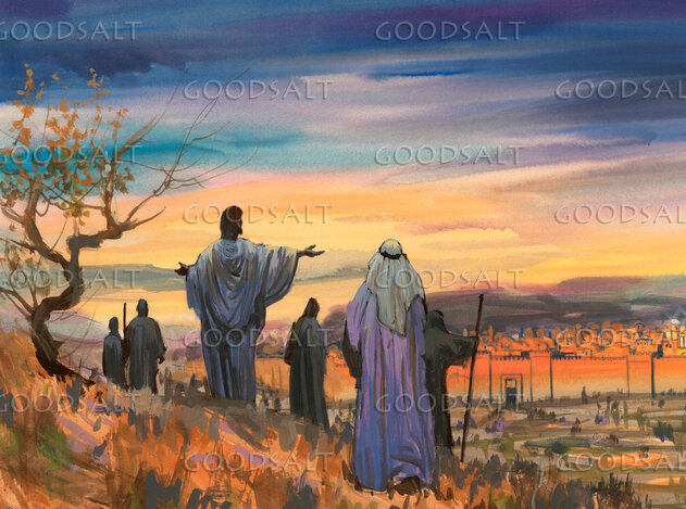 Jesus Beholds Jerusalem