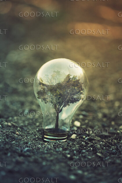 Light Bulb With Tree