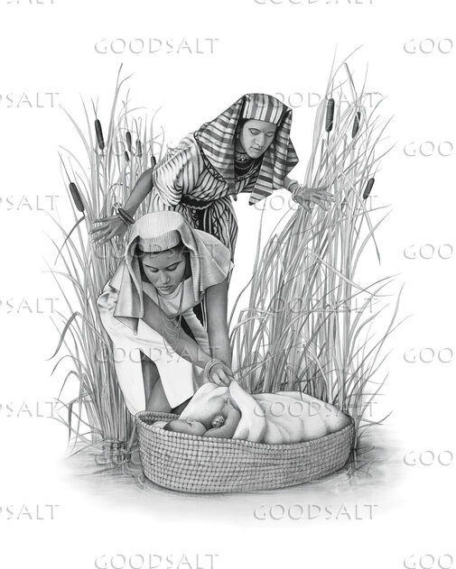 Moses and Pharo's Daughter