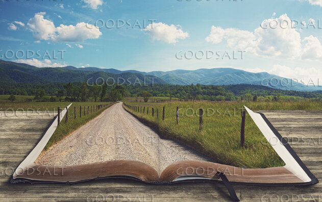 Open Bible With Pathway