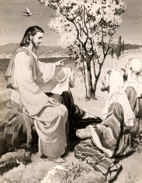 Parable of the Mustard Plant