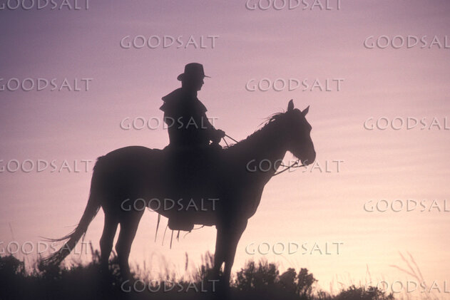 The silhouette of a person on a horse in the sunrise.