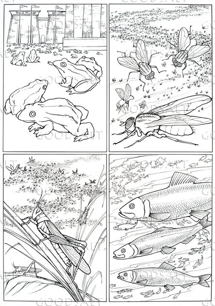 Plagues: Frogs, Flies, Locusts, Blood