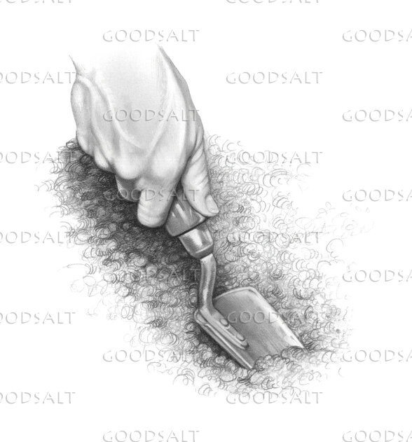 Tending Your Garden