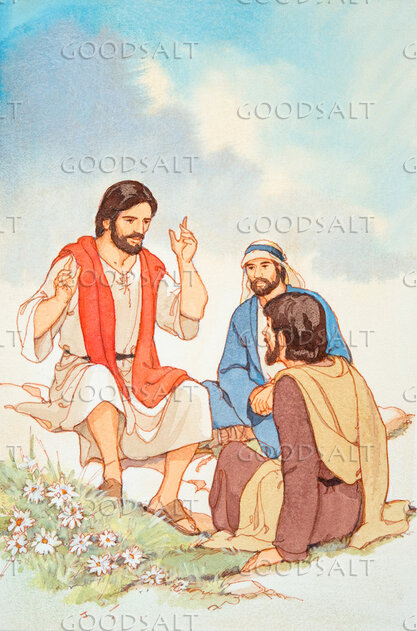 The Lesson