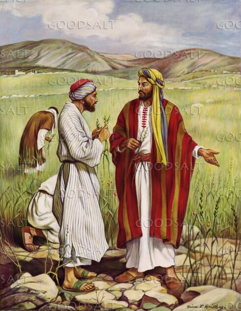 Wheat and Tares