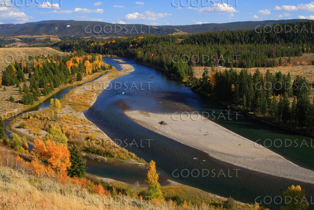 WYOMING. Teton National Park. Fall color on Snake River.