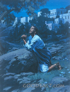 Jesus Prays for Us