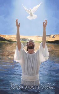 Spirit of God Decends over Jesus