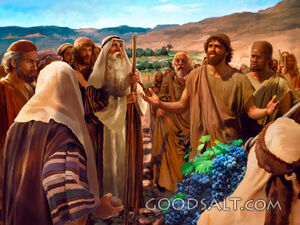 A Land Flowing With Milk and Honey