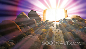 A Light to My Path