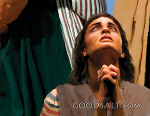 A Woman's Plea