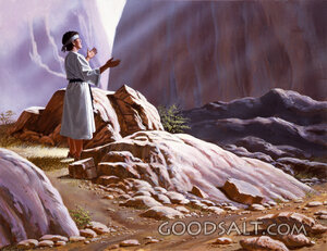 A Young Phophet Follows God
