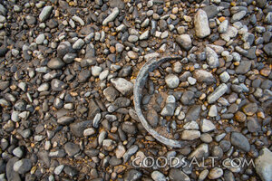 Abandoned gold pan in river bed.