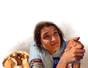 Abigail's Humility