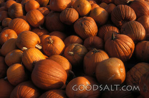 Pumpkin Harvest Abundance
